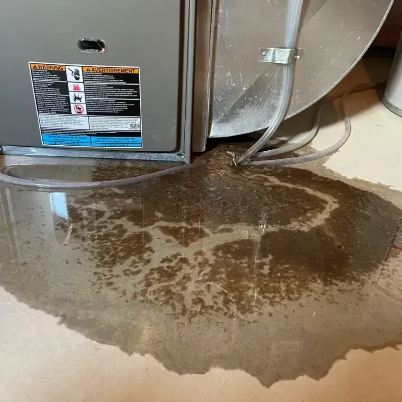 Appliance Leak Cleanup in Hildebran, NC